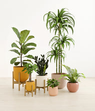 Load image into Gallery viewer, Evening Sky stand:three_stands