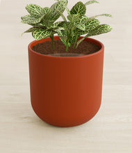 Load image into Gallery viewer, Earth Red stand:all