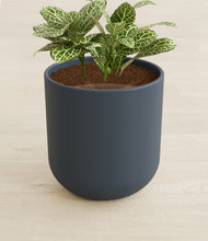 Load image into Gallery viewer, Iron Gray stand:all