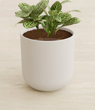 Load image into Gallery viewer, Natural Bamboo stand:all