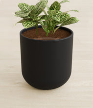 Load image into Gallery viewer, Stone Black stand:all