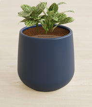 Load image into Gallery viewer, Deep Navy stand:all