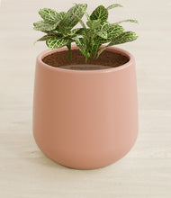 Load image into Gallery viewer, Calm Rose stand:all