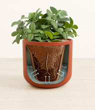 Load image into Gallery viewer, Earth Red