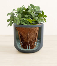 Load image into Gallery viewer, Iron Gray