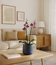 Load image into Gallery viewer, Deep Navy