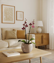 Load image into Gallery viewer, Winter Clouds