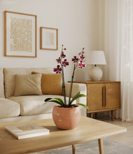 Load image into Gallery viewer, Calm Rose