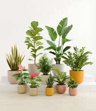 Load image into Gallery viewer, Evening Sky