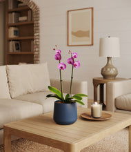 Load image into Gallery viewer, Deep Navy