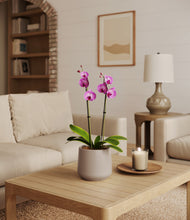 Load image into Gallery viewer, Eternal Gray