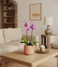 Load image into Gallery viewer, Calm Rose