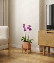 Load image into Gallery viewer, Calm Rose stand:bamboo