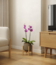 Load image into Gallery viewer, Olive stand:bamboo