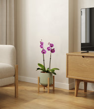 Load image into Gallery viewer, Turquoise stand:bamboo