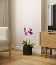 Load image into Gallery viewer, Black