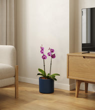 Load image into Gallery viewer, Deep Navy