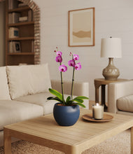 Load image into Gallery viewer, Deep Navy