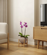 Load image into Gallery viewer, Winter Clouds stand:bamboo