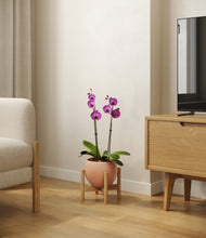 Load image into Gallery viewer, Calm Rose stand:bamboo