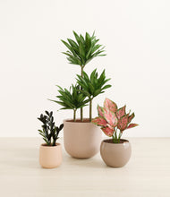 Load image into Gallery viewer, Sandy*****Profile