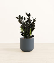 Load image into Gallery viewer, Iron Gray*****Profile