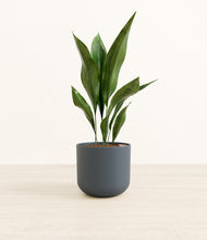 Load image into Gallery viewer, Iron Gray*****Profile