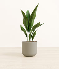 Load image into Gallery viewer, Sage Green*****Profile