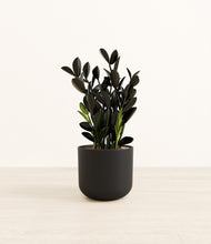 Load image into Gallery viewer, Stone Black*****Profile