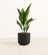 Load image into Gallery viewer, Stone Black*****Profile