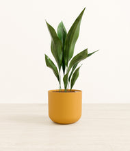 Load image into Gallery viewer, Sunset Orange*****Profile