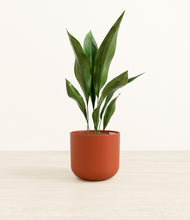 Load image into Gallery viewer, Earth Red*****Profile