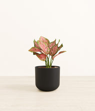 Load image into Gallery viewer, Stone Black*****Profile