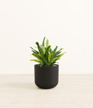 Load image into Gallery viewer, Stone Black*****Profile