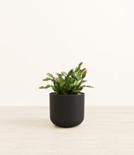 Load image into Gallery viewer, Stone Black*****Profile