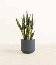 Load image into Gallery viewer, Iron Gray*****Profile