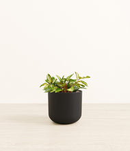 Load image into Gallery viewer, Stone Black*****Profile