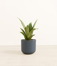 Load image into Gallery viewer, Iron Gray*****Profile