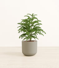 Load image into Gallery viewer, Sage Green*****Profile