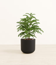 Load image into Gallery viewer, Stone Black*****Profile