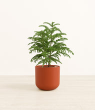 Load image into Gallery viewer, Earth Red*****Profile