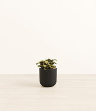 Load image into Gallery viewer, Stone Black*****Profile