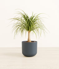 Load image into Gallery viewer, Iron Gray*****Profile