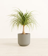 Load image into Gallery viewer, Sage Green*****Profile