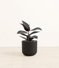 Load image into Gallery viewer, Stone Black*****Profile