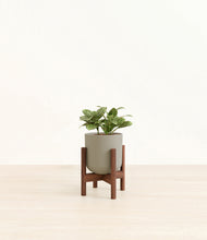 Load image into Gallery viewer, Sage Green stand:walnut