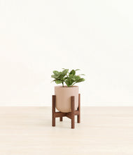 Load image into Gallery viewer, Sandy Pink stand:walnut