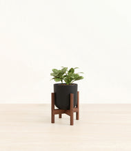 Load image into Gallery viewer, Stone Black stand:walnut