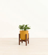 Load image into Gallery viewer, Sunset Orange stand:walnut