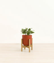 Load image into Gallery viewer, Earth Red stand:bamboo